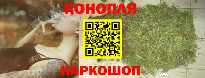 сатива Обь