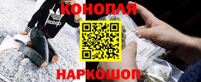 сатива Обь