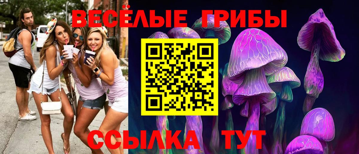 Псилоцибиновые грибы MAGIC MUSHROOMS  Вход с VPN  Арсеньев  Галлюциногенные грибы прущие грибы 