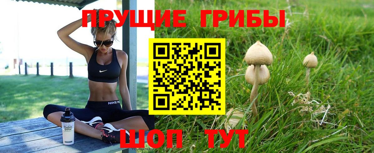 Галлюциногенные грибы Psilocybe Арсеньев